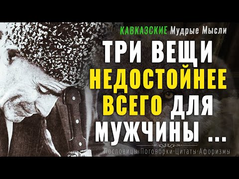 Кавказские Мудрые Мысли, Которые Поражают Своей Глубиной! Пословицы И Поговорки, Цитаты, Афоризмы