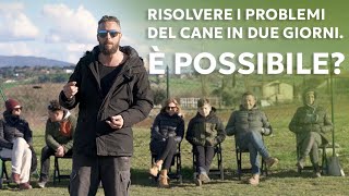 Risolvere i problemi del cane in due giorni. È possibile?