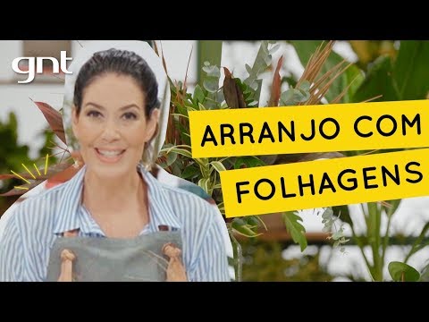 Vídeo: Plantas para decoração de mesa de Natal: como criar arranjos de plantas centrais