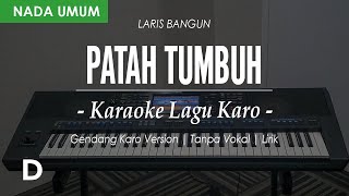 PATAH TUMBUH HILANG BERGANTI (GENDANG) - NADA UMUM - || NADA D || KARAOKE LIRIK || LAGU KARO