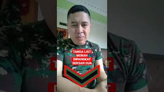 TANDA PANGKAT KOMANDAN REGU #rekrutmentni #indonesiaarmy #tni