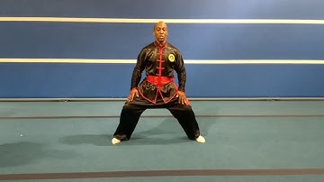 Fighting Application Arm Breaker Praying Mantis Kung Fu Vid 2 Sifu Bryan Barnes