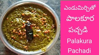 ఎండుమిర్చితో పాలకూర పచ్చడి Tasty Palakura Pachadi in Telugu