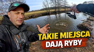 3 Gatunki Ryb W Jeden Dzień To Miejsce Mnie Zaskoczyło