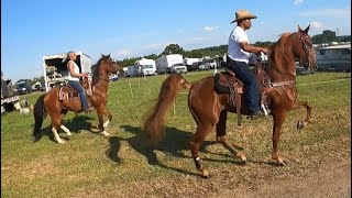 EBONY HORSEMEN TRAIL RIDE 2023 PART 1 “VENDORS & PARTY AT THE BOOM BOOM ROOM! #vendors #cowboys