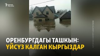 Оренбургдагы ташкын: үйсүз калган кыргыздар