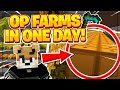 Building Infinite Pumpkin and Melon Farms in 1 Day!! -- Hypixel Skyblock