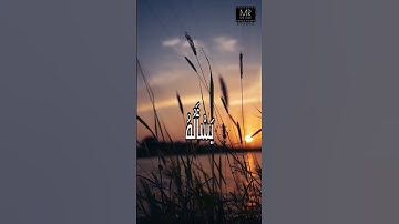 القارئ اسلام صبحي - {كل من عليها فان ويبقى وجه ربك ذو الجلال والإكرام} - {سورة الرحمن}
