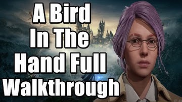 Hogwarts Legacy A Bird In The Hand Side Quest Full Walkthrough