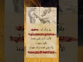 ولد يسأل أباه ما الفرق بين ابتسامتي وابتسامتك حالات واتس خواطر حكمة   ستوريات علم النفس