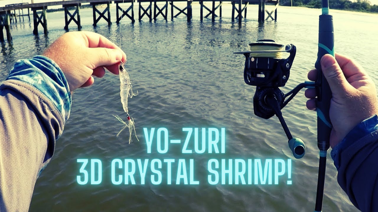 Saltwater Fishing with REALISTIC Yo Zuri Shrimp Lure! 