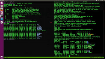 picoCTF 2017 LEVEL1 Binary Explotation Bash Loop