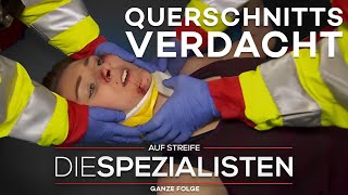 Schlägerei, gelähmte Frau: und plötzlich werden SANITÄTER angegriffen | Die Spezialisten | SAT.1