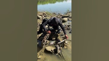 wow , i cannot Belive , amazing traping #shorts #fishing