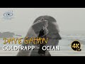 Goldfrapp - Ocean Feat. Dave Gahan | Remix 2020. Surround + Subtitles 22 Languages [UHD 4K]