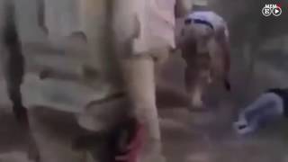 Un vídeo muestra varias “ejecuciones extrajudiciales” en el Sinaí