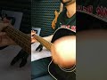 Guess the Melody on the Guitar! Write in the comments???
