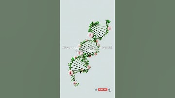 Pandas Merge | Machine Learning | Artificial Intelligence #artificialintelligence #ai #artificial