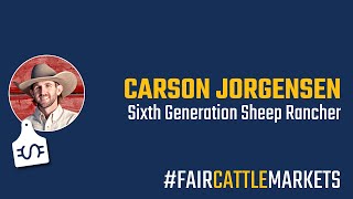 Fait Cattle Markets Interview with Carson Jorgensen, Sixth Generation Sheep Rancher