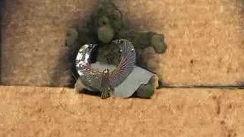 London Public Library TD Summer Reading Club Week 6