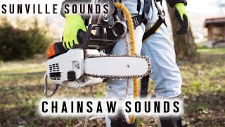 Chainsaw | Amazing Sounds with Peter Baeten screenshot 2