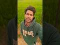 Market secret || my first video