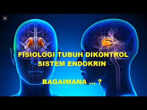 Fisiologi Sistem Endokrin (Regulator Homeostasis)