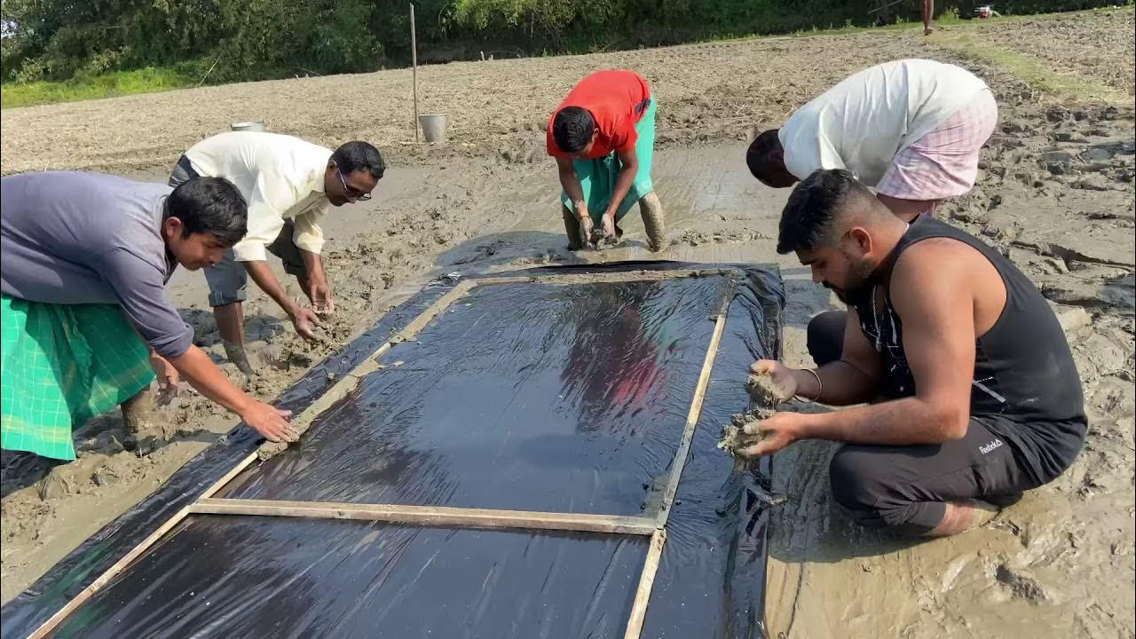 MAT Nursery preparation for Mechanical transplanting of Rice YouTube