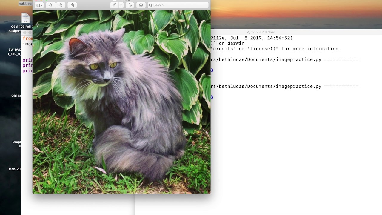Python07 - Image Processing - YouTube