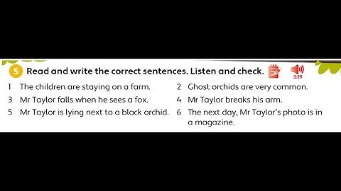 Unit 6 - PB pg. 47 - Activity 5 - Read and write correct sentences. Listen and check.