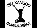 Kangoo Jumps - Dunavarsányi Tigrisek