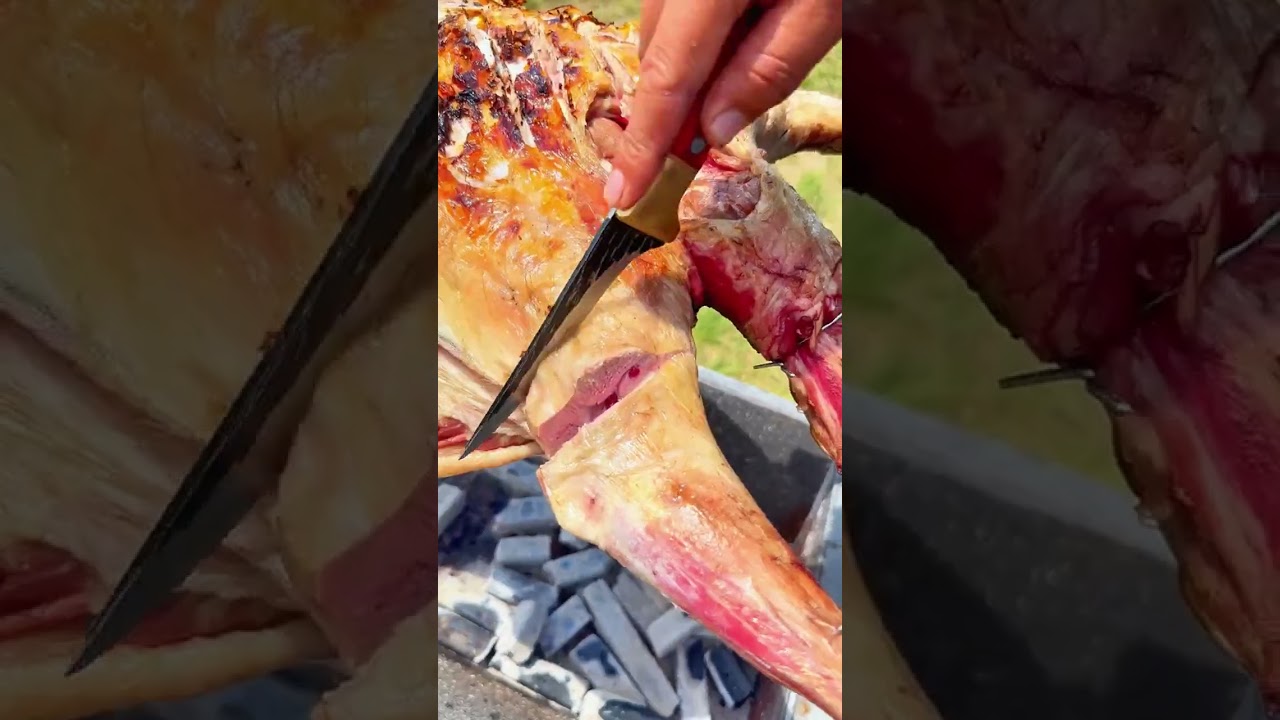 今天兄弟来吃只烤全羊今天可太热闹了 大草原美好生活 牧区生活  烤全羊 草原风光