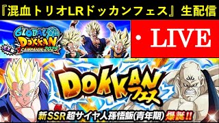 【ドッカンバトル】『LR混血トリオフェス』生配信