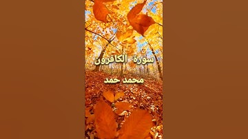 سورة الكافرون - محمد حمد #سورة_الكافرون #قران #قران_كريم #قرآن #قرآن_كريم #الله #اكسبلور #لايك