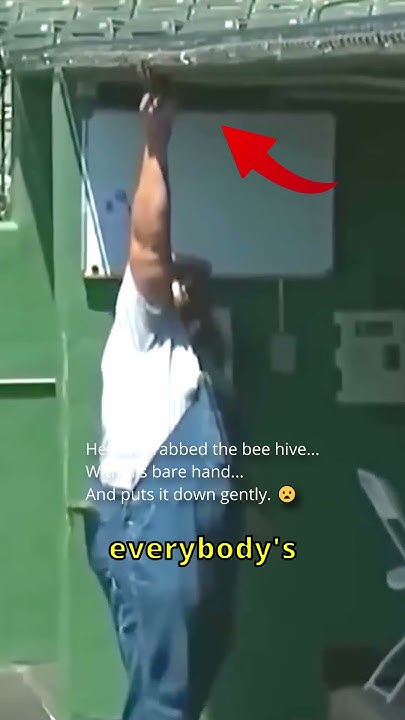 He Is Fearless 😧🤯 #baseball - YouTube