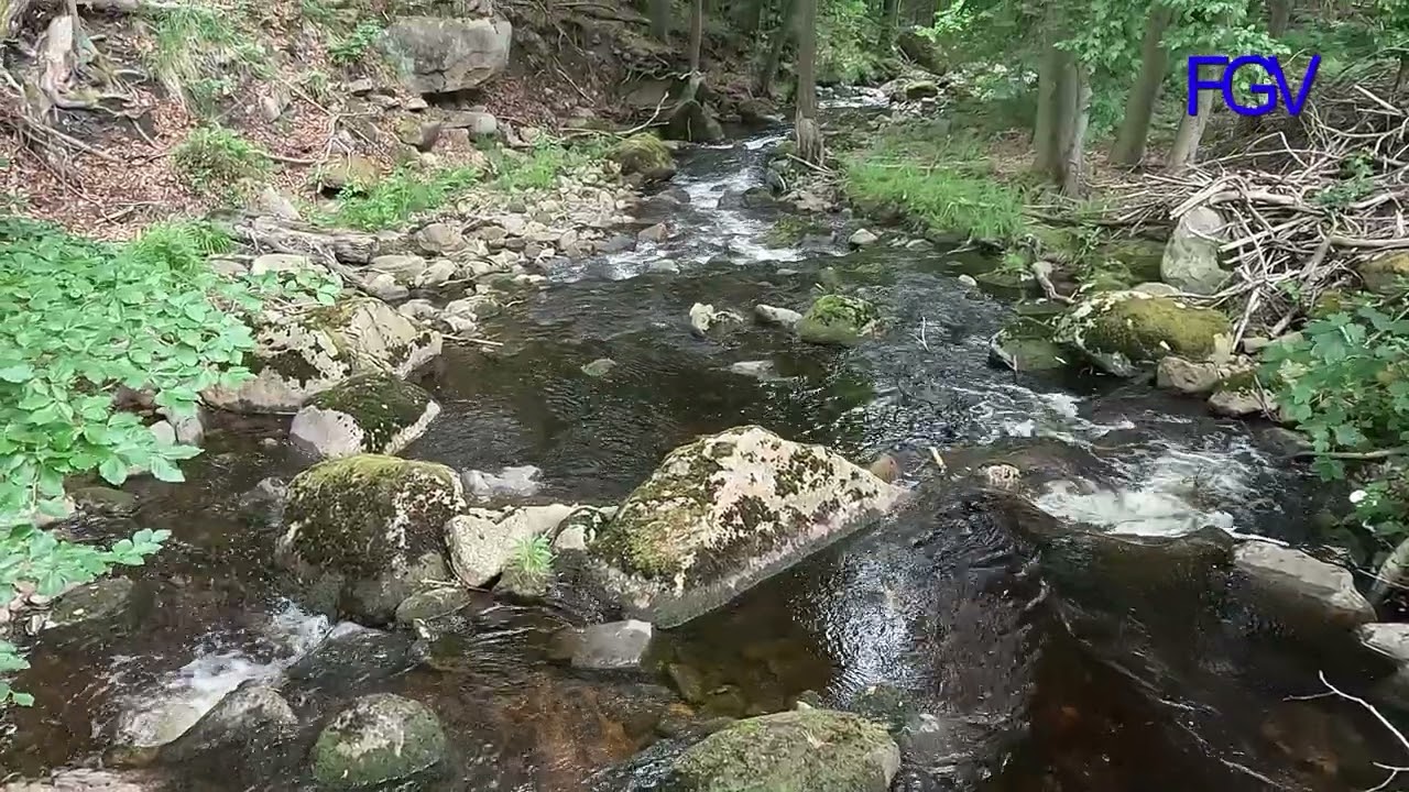 Der Harz-Das schöne Ilsetal mit den Ilsewasserfällen