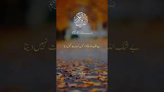 Beautiful Quran Pak translation in urdu #quranrecitation #kalampak #ytstudio #foryou