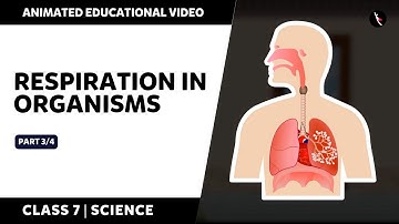 Respiration In Organisms | NCERT Science Class 7 Chapter 10 | Part 3/4 | English | Class 7