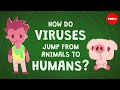 How do viruses jump from animals to humans  ben longdon