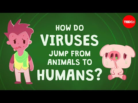 How do viruses jump from animals to humans? – Ben Longdon