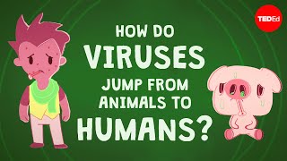 How do viruses jump from animals to humans?  Ben Longdon