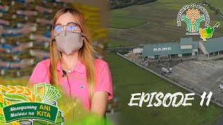 Ani at Kita sa Agrikultura: Farmers Cooperative Success Story in Talavera, Nueva Ecija  | Episode 11