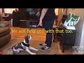 Ask the dog trainer