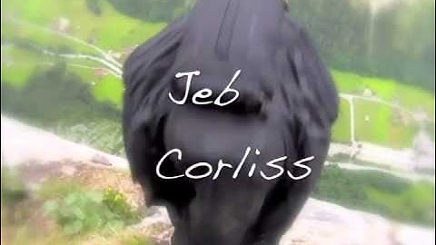 Wingsuit Base Jumping Music Video - Fly Away by Lenny Kravitz - Video by Steve Bartol