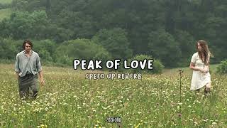 aldi haqq - peak of love (speed up reverb)