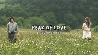 Download lagu aldi haqq - peak of love (speed up reverb)