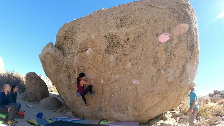 Cindy Swank V7 (Pollen Grains, Bishop)