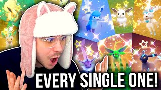 LIVE! Finding EVERY Shiny Eeveelution in Pokémon Violet! (Full Odds Shiny Compilation)