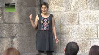 Viseu - «Vissaium» dá a conhecer património arqueológico e histórico da cidade