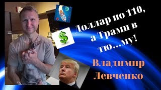 Владимир Левченко - доллар по 110, а Трамп в тю...му!